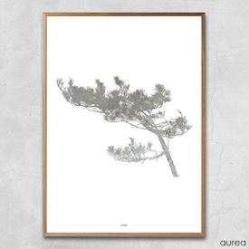 Plakat - Pine Tree